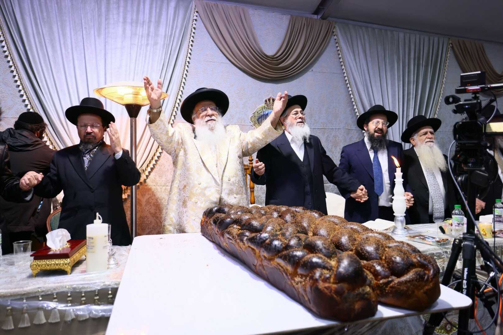 גלריית מירון 31